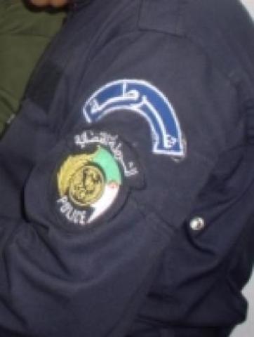 شرطة مستغانم تحجز 550 دعامة من مصنفات فنية مقلدة