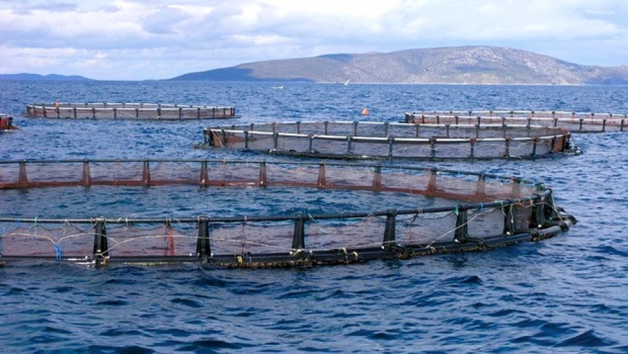 La nouvelle loi sur la pêche et l'aquaculture publiée au JO