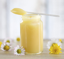 Gelée royale (lait des abeilles)