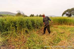 Qui sème l'espoir, récolte le bonheur.
