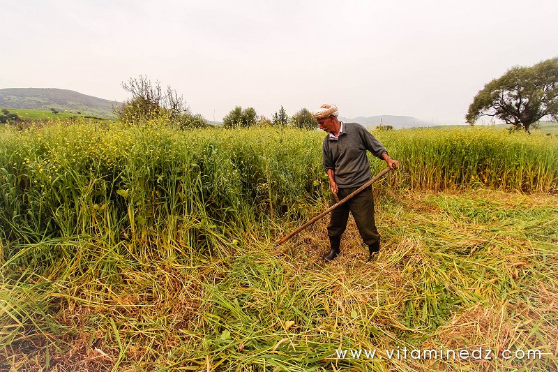 Qui sème l'espoir, récolte le bonheur.