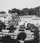 ZEMMORA, le berceau d’une race ardente