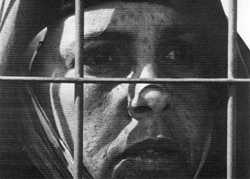 Le vent des Aures de Mohamed Lakhdar Hamina, 1996