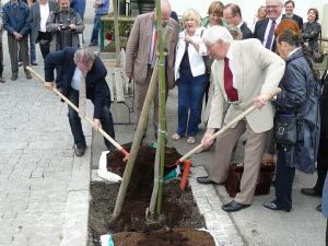 Savoir choisir ' l'Arbre ' que l'on veut planter