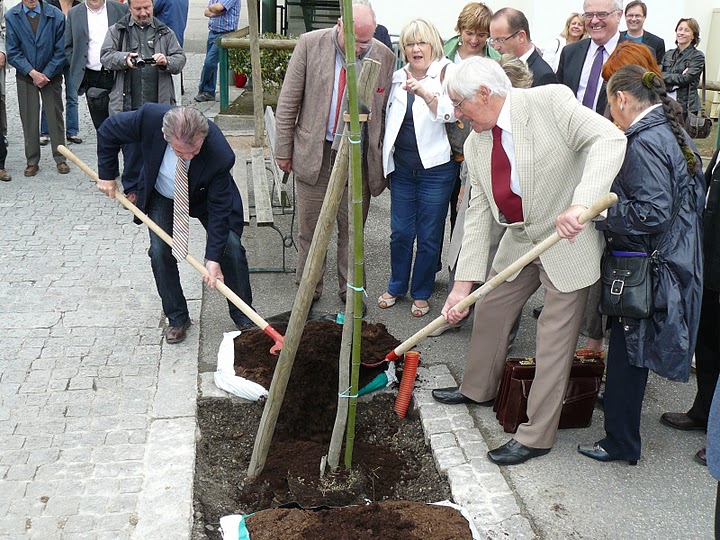Savoir choisir ' l'Arbre ' que l'on veut planter