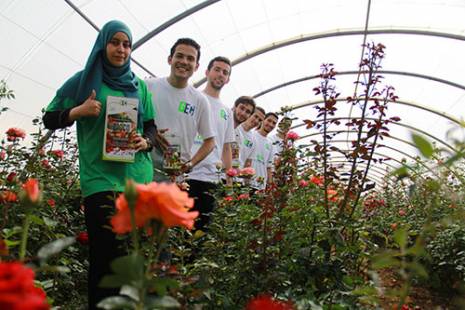 Bioco, l'engrais organique en détail