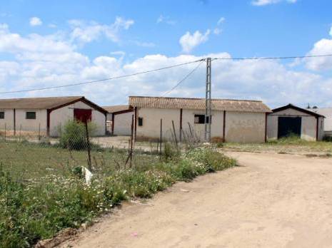 Coopérative agricole à l'abandon