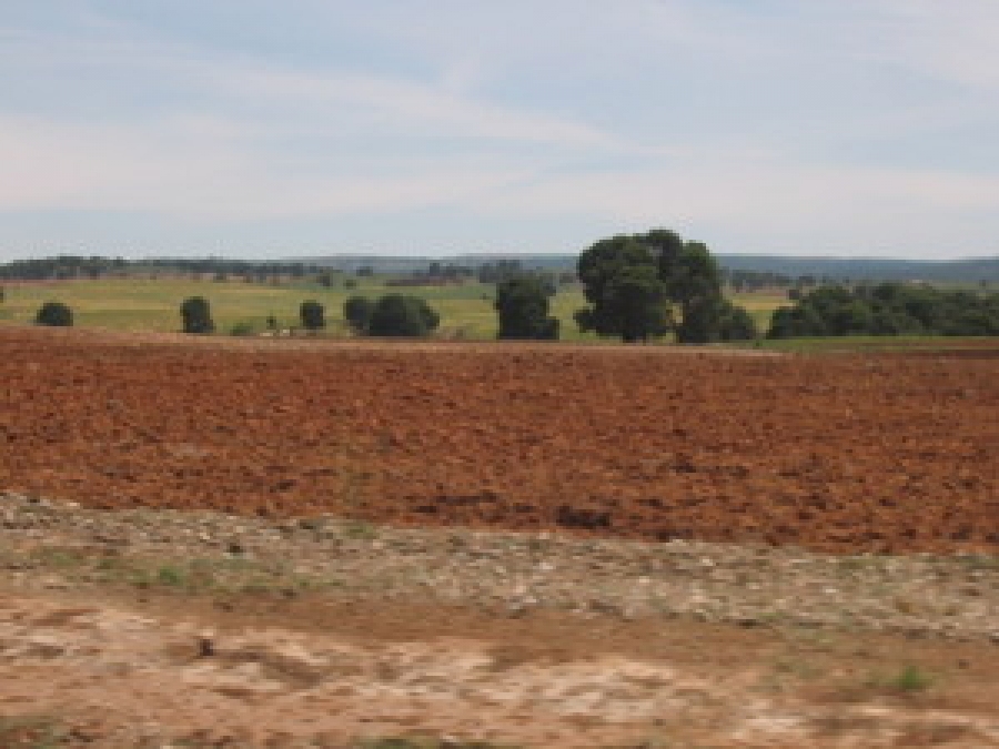 La croissance du secteur agricole a atteint un taux moyen de 11% durant le quinquennat 2010-2014