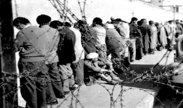 سطيف تتذكر ضحايا مجازر الثامن ماي 45 وجرائم فرنسا