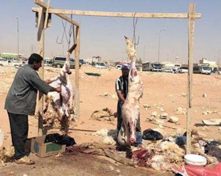 ظاهرة الذبح العشوائي تغزو الأسواق المحلية بسطيف