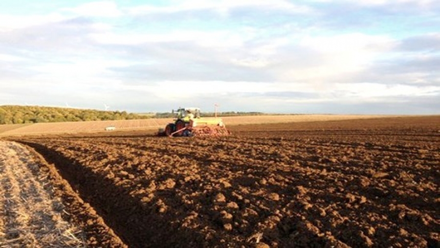 120.000 ha de terres arables attribués prochainement aux investisseurs à Ghardaïa