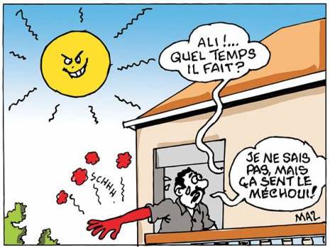 «rien d'anormal», selon météo algérie