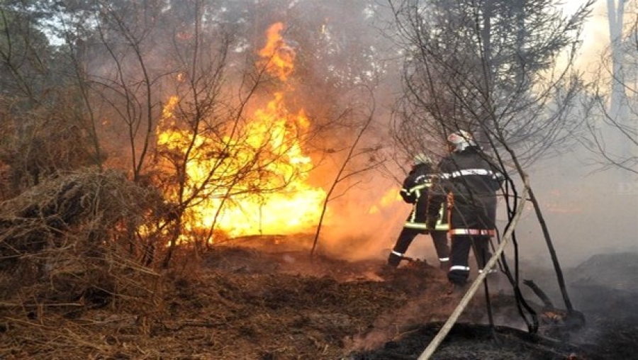 Incendies de forêts