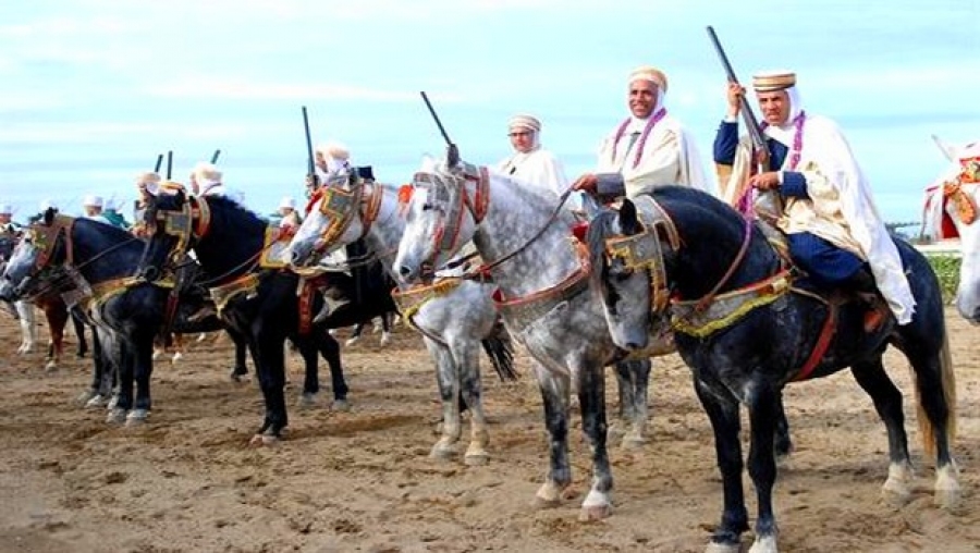 Le cheval barbe à l'origine de l'amélioration de plusieurs races