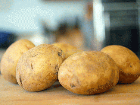 Naufrage du Salon de la pomme de terre