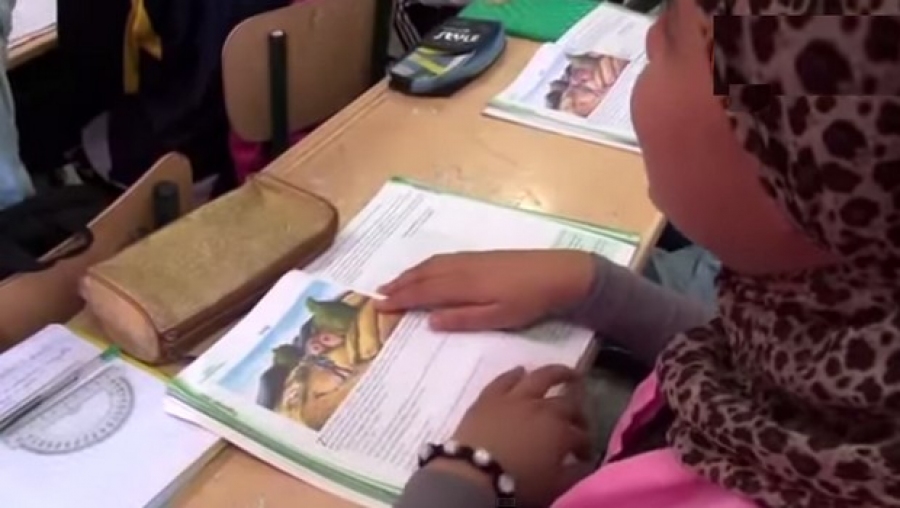 De nouveaux moyens pour développer davantage l'enseignement de Tamazight (HCA)