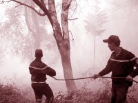 La Protection civile opte pour la sensibilisation