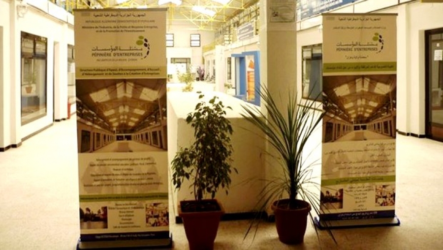 La promotion de l'entreprenariat des jeunes diplômés, thème d'une rencontre prochainement à Ain Temouchent