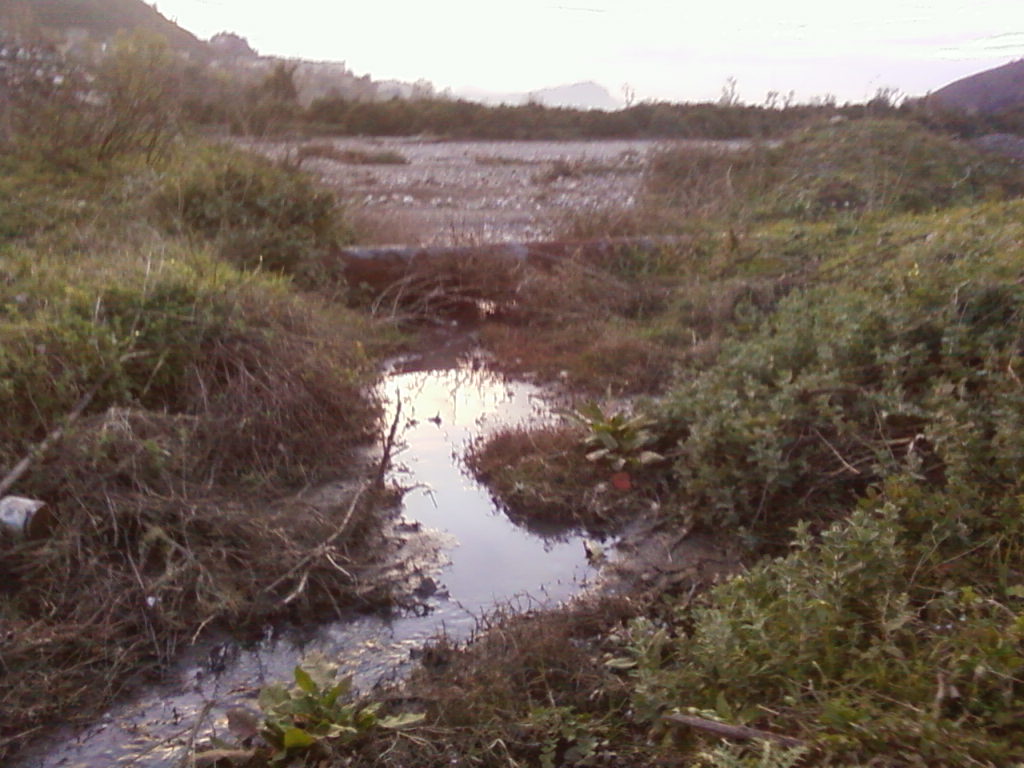 La richesse écologique et touristique menacées