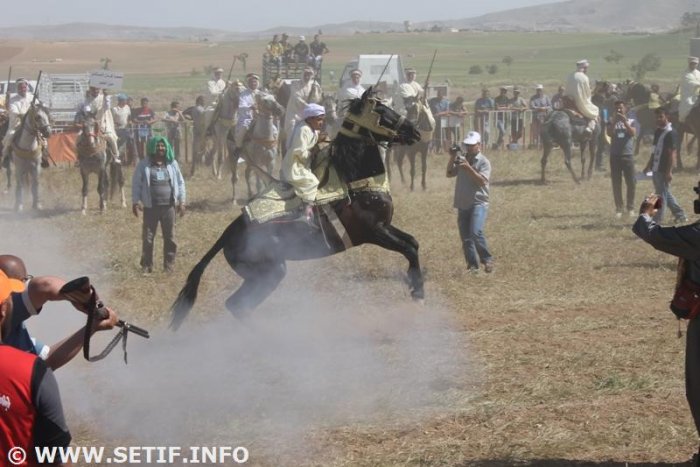 Festival local de la fantasia et des courses équestre à Guedjel