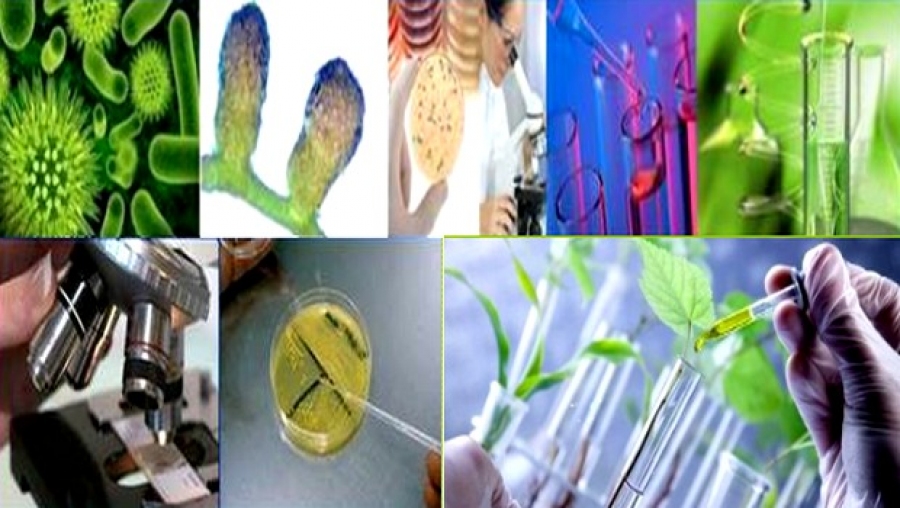 Près de 500 intrants non polluants à la disposition des agriculteurs d'Oran