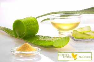 40 Utilisations de L'Aloe Vera Qui Vont Vous Stupéfier !