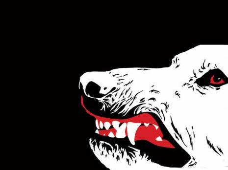 Le «lâcher de chiens»