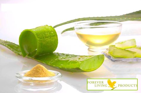 40 Utilisations de L'Aloe Vera Qui Vont Vous Stupéfier !