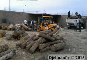 أعوان الغابات يداهمون ورشة غير قانونية لتحويل الحطب بالمنطقة الصناعية بالجلفة و يصادرون محتوياتها