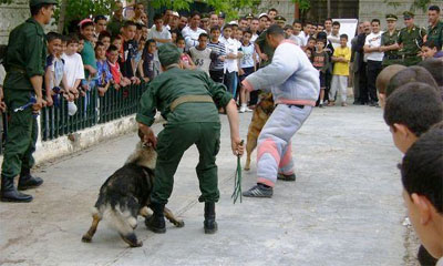 Un impact certain sur le développement économique et social