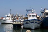 Large consultation des professionnels de la pêche