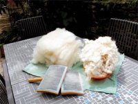 Un centre pour récupérer, stocker et traiter la laine