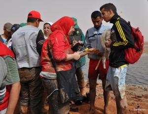 Baguage de poussins flamants roses à Ezzemoul