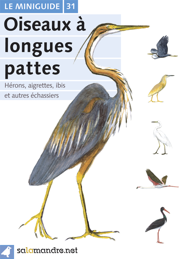 Echassiers 1996 à Tizi Ouzou