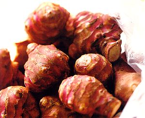 LE TOPINAMBOUR TOUJOURS D’AVANT-GARDE !…