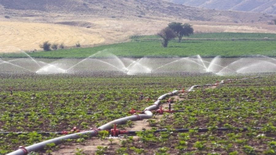 L'économie des eaux d'irrigation en débat à Médéa