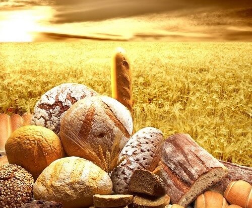 9 astuces pour bien éliminer les toxines