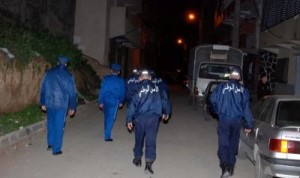 تفكيك عصابة تمارس السطو بواسطة الكلاب الشرسة بوهران