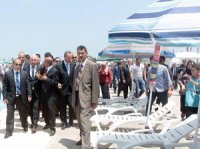 Réception de trois piscines sur la rive de l'oued El-Harrach