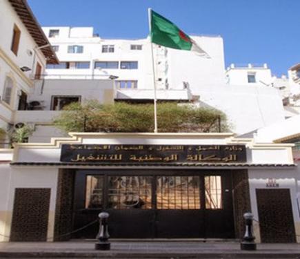 حملة لتوظيف 563 شاب بالعاصمة