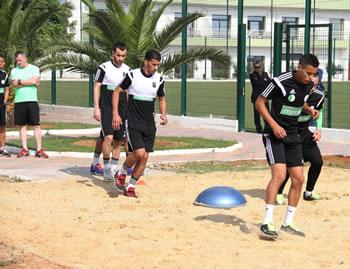 Les Verts en décompression