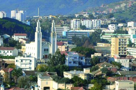 تخصيص أغلفة مالية لتجديد الغطاء النباتي بعنابة