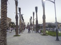 Une ville écologique