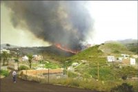 7 ha de récoltes agricoles ravagés par les flammes