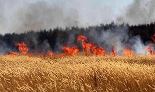 حريق يأتي على 7 هكتارات من المحاصيل الفلاحية بغليزان