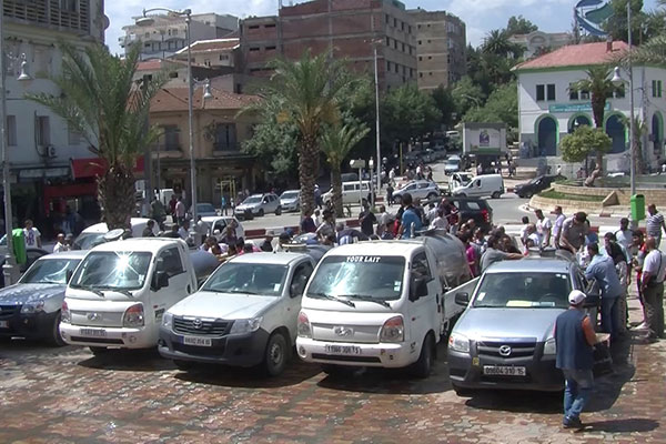 مربو الأبقار بتيزي وزو يحتجون بتوزيع الحليب مجانا في الشوارع