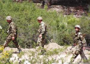 L'ANP quadrille la zone de l'attentat et poursuit le ratissage dans les monts de Chelaalaa et les forêts avoisinantes