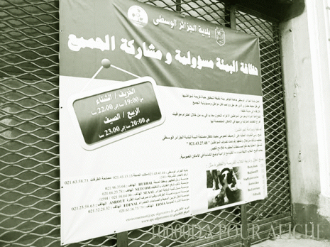 Les chiens dangereux interdits au centre d'Alger