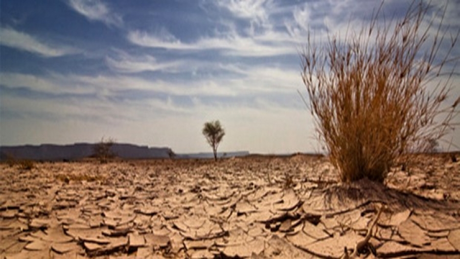 Les effets du réchauffement climatique sur l'Algérie sont 