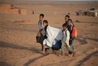 La question sahraouie présente dans la compétition des courts métrages